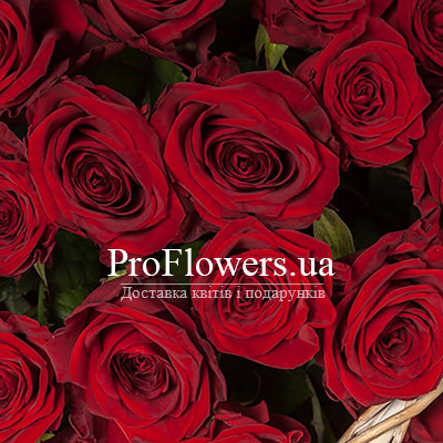 Корзина "51 алая роза" - изображение 2