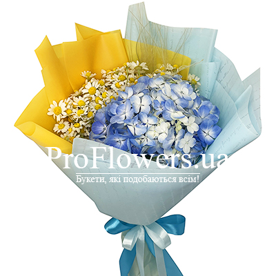Bouquet of field daisies and hydrangea