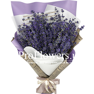 Bouquet of lavender "Pleasant aroma"
