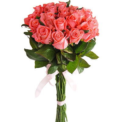Bouquet of 25 coral roses "Tenderness"