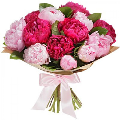 Bouquet of peonies "Compliment"