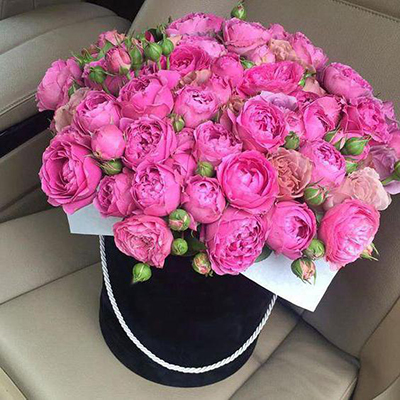35 pion-shaped roses in the box "Queen"
