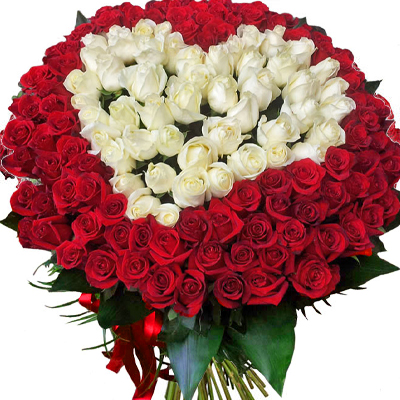 Bouquet of 101 red and white roses in heart