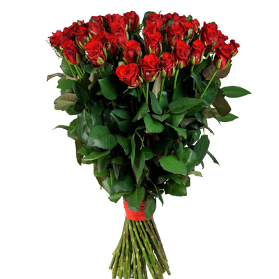 1 Meter Ukrainian red roses by the piece - picture 2