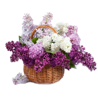 Basket of lilacs "Freshness"