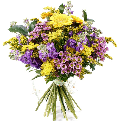 Bouquet of wild flowers "Vivid colors"