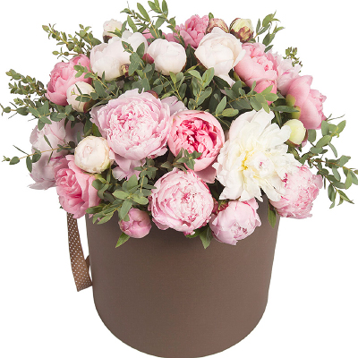15 gentle peonies in a box