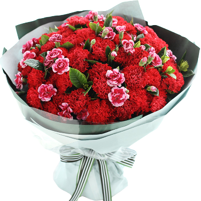 Bouquet of carnations "Bright"