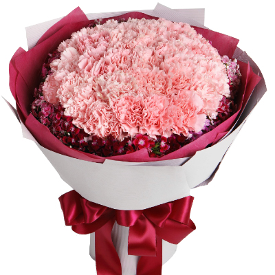 Bouquet of carnations "Elegant"
