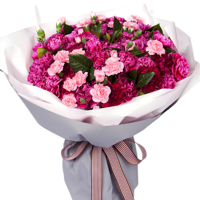 Bouquet of carnations "Amazement"
