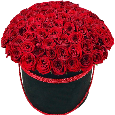 101 червона троянда в коробці