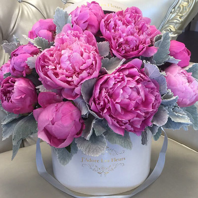 Peonies in the box "Perfection"