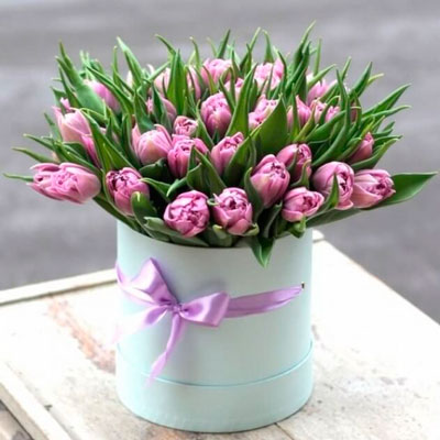51 pink tulip "Peony"