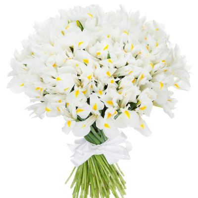 25 white irises