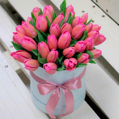 Коробка тюльпанов "Розовое облако"