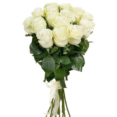 15 white roses