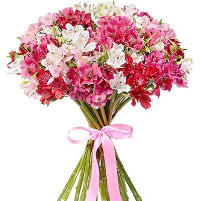 Bouquet of alstroemerias "Gentle!"