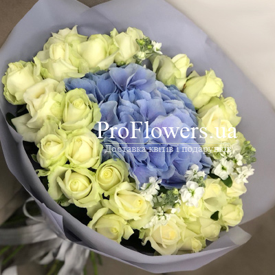 Букет білих троянд і гортензій "Блакитноока"