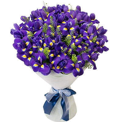 Bouquet "Iris clearing"