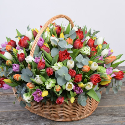 Basket of tulips "Magic"