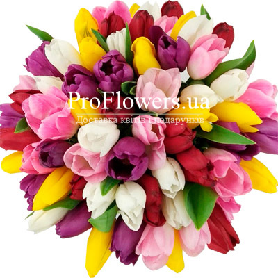 Bouquet of 35 tulips - picture 2