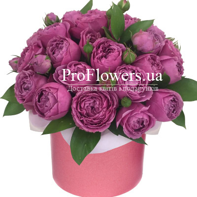 15 branches of peony roses "Mystic"
