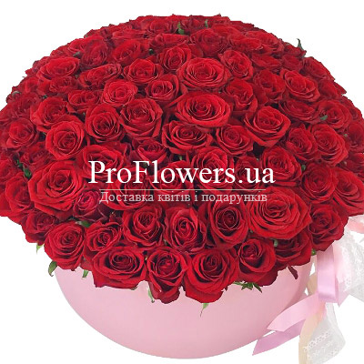 101 red roses in a box "Tenderness"