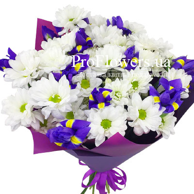 Bouquet of irises and chrysanthemums "Mood"