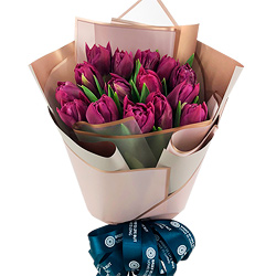 Фіолетові тюльпани