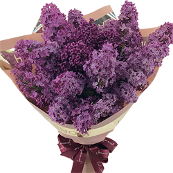  Bouquet of lilac "Desired"