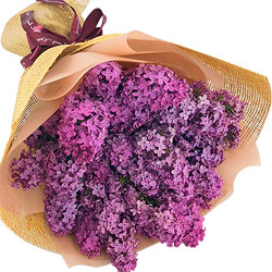  Bouquet of lilac "Spring Notes"