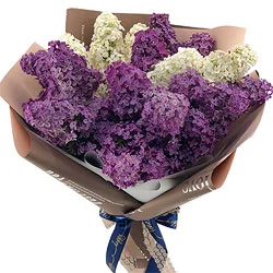 Bouquet of lilac "May Day"
