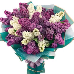 A large bouquet of lilacs "Carnival"
