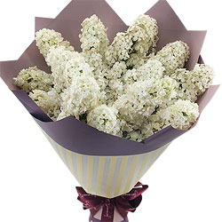  Airy bouquet of lilac "Tender look"