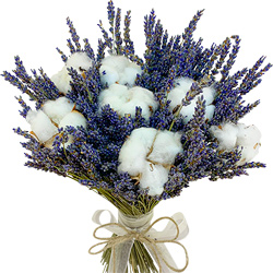 Bouquet of dried flowers