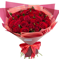 33 розы