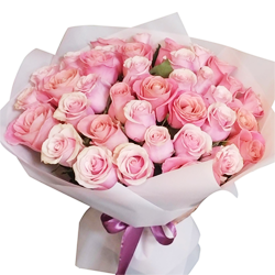 Soft pink roses