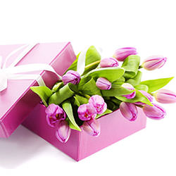 Tulips in a box