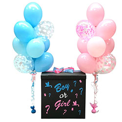 Box-Surprise "Boy or Girl"