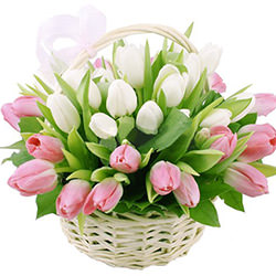 Basket of tulips "gentle hugs"