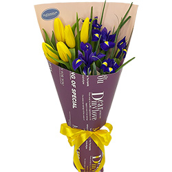  Bouquet of tulips and irises "Patriot"