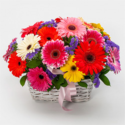 Basket with gerberas "Bright summer"