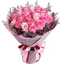Soft pink roses