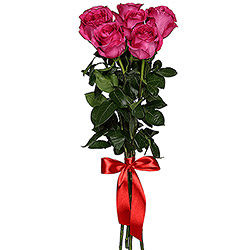 7 розовых роз
