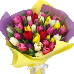 Bouquetd of colored tulips