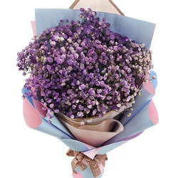  Bouquet of air gypsophila "Magic"