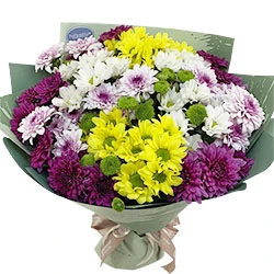 Bouquet of colorful chrysanthemums