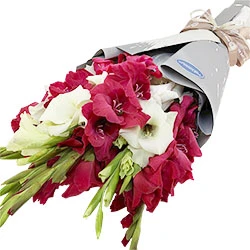 Bouquet of gladioli "Cleopatra"