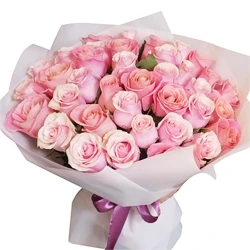 31 pink roses