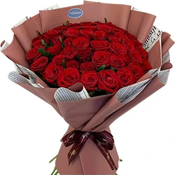 31 red roses "Bordeaux"